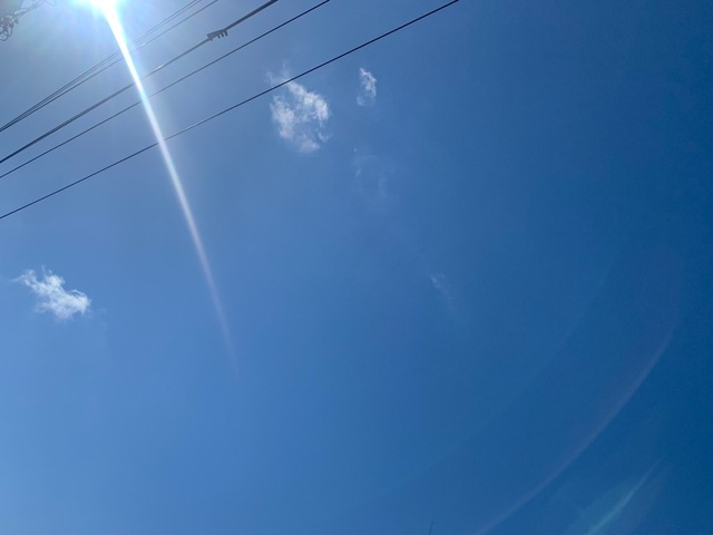 IMG_6854.jpeg